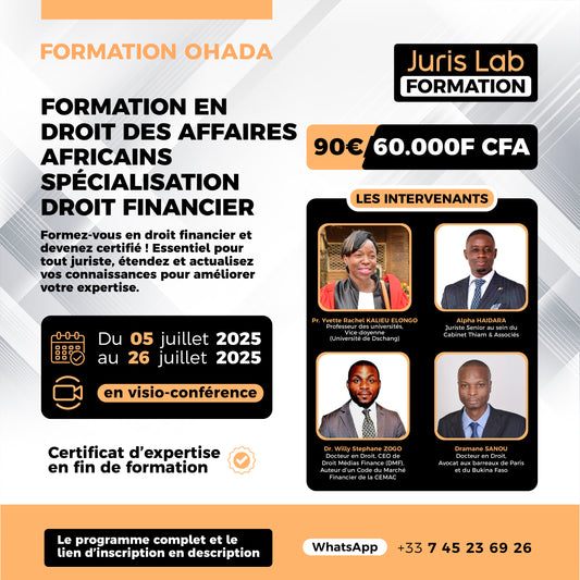 Formation en droit des affaires africains spécialisation droit financier